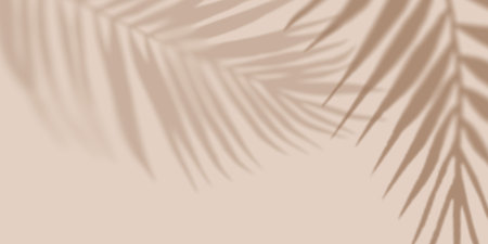 Shadow nature Palm light pastel Background. Creative copyspace. Unobtrusive background with Shadow. Illustration for cover, trend frame, card, banner, graphic design.の写真素材