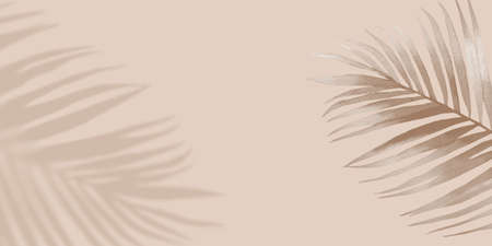 Shadow nature tropical Palm Background. Creative neutral copyspace. Nature style background with...
