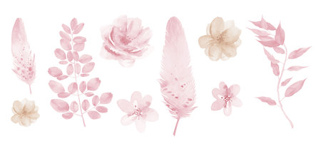 Pink flowers watercolor boho style illustration. Watercolour Pink Beige floral isolated element set.の写真素材