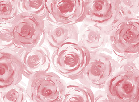 Pink Watercolor Rose Background. Watercolour Pink Pastel Roses Flowers Illustration on white.の写真素材