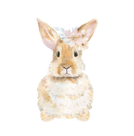 Animal Watercolor Baby Nursery Woodland Flower Wildlife Art. Watercolour Rabbit illustration isolated on white.の写真素材