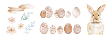 Easter Rabbit Egg Flower Set. Watercolor illustration isolated on white background.の写真素材
