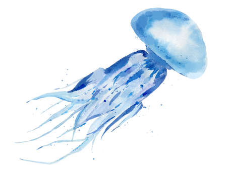 Watercolor Fishes Sea shells Starfishes Scallop and seahorse. Watercolour illustration isolated on white background.の写真素材