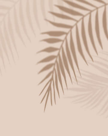 Shadows Palm leaves. Light pastel background with Shadow. Illustration for cover, trend frame, card, postcard, graphic design.の写真素材