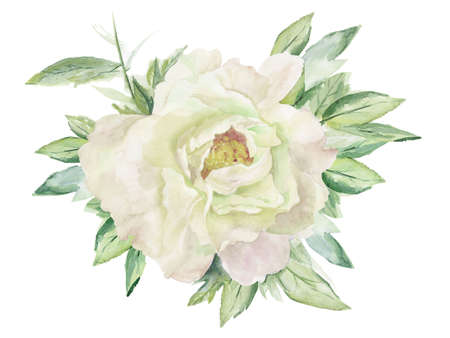 White peony flower. Floral Watercolour illustration isolated on white background.の写真素材