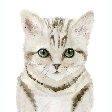 Watercolor Cat Paint. Watercolour illustration on white background.の写真素材