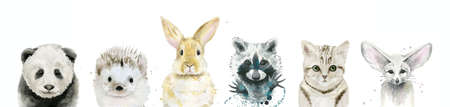 Cute Baby Animals. Water color illustration isolated on white background.の写真素材
