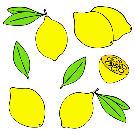 Lemon Bundle. A set of colorful doodle hand-drawn lemons, in a variety of shapes. Isolated on a white background. Suitable for web, digital, print, kitchen design, menus, stickers, banners, postersのイラスト素材