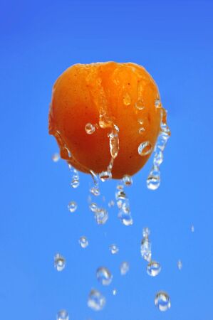 Apricot in waters on a blue background of the skyの写真素材