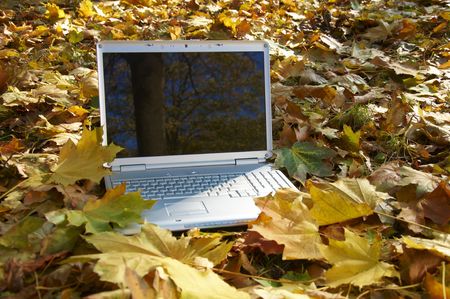computer outdoors in autumn leavesの写真素材