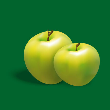 vector apple fruit, vegetarian foodのイラスト素材