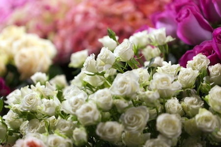 Street flower market. Different roses の写真素材