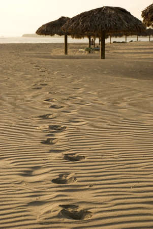 A lot of footprints on the sand - in Dominicanaの写真素材