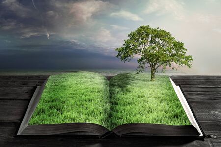 open book with green grass and big tree