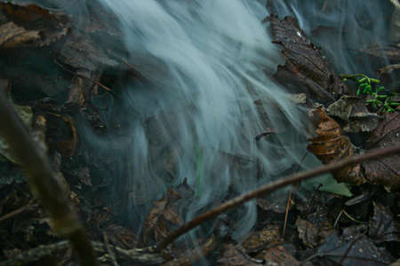 burning leavesの写真素材