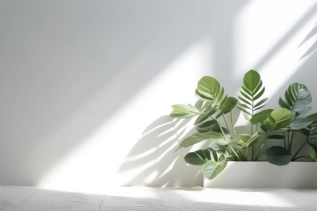 This captivating image features a minimalistic light background with a subtle, blurred foliage shadow gracefully cast upon a pristine white wall. The composition presents a beautiful and versatile background that is perfect for various presentations, adding an elegant touch to your designs. The smooth floor further enhances the aesthetic appeal, providing a clean and polished lookの素材