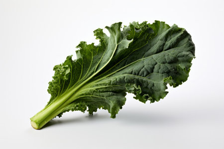 A vibrant and fresh bunch of kale leaves, known for their rich green color and nutritional value. This realistic photo showcases kale's natural beauty, making it a perfect addition to health and nutrition-related designsの素材