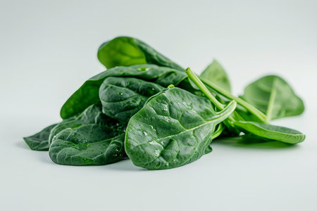 This image showcases fresh spinach leaves in a realistic style against a white, flat-colored background. The photo, taken from a front view, highlights the natural green hues and textures of the spinach, making it ideal for a wide range of applications including culinary websites, health and nutrition blogs, and recipe booksの素材