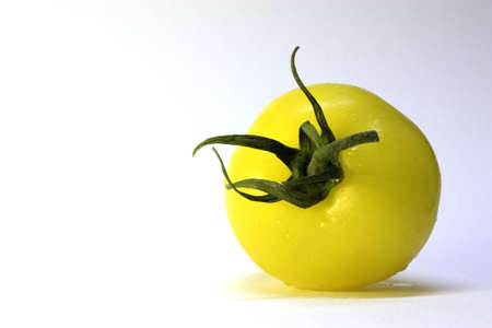 Yellow Vine Tomatoの写真素材