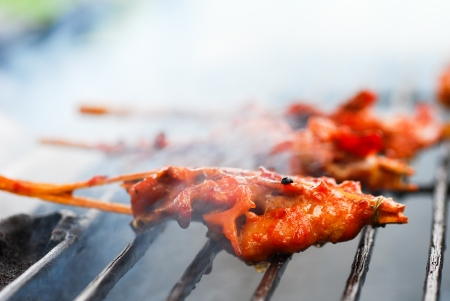 Grilled chicken skewers の写真素材