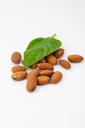 Green leaves on the almondsの写真素材