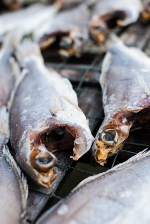 dried fish in market for saleの写真素材