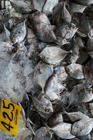 Fresh fish on ice at sea market Ranong,Thailand
