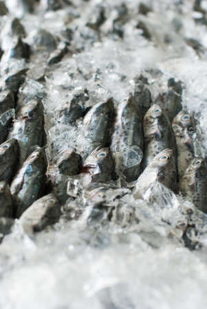 fresh fish on ice at the sea marketの写真素材