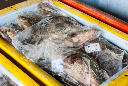 Fresh fish in a plastic bag in a plastic bucket
