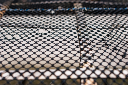 The black net for Salted fishの写真素材