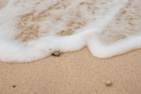 Coral fragments on the beaches with white foam.の写真素材