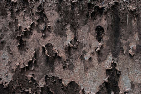 Old moldy concrete wall as abstract background textureの写真素材
