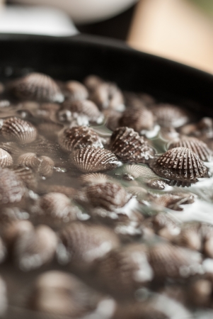 Blood cockle in a pot with boiling water の写真素材