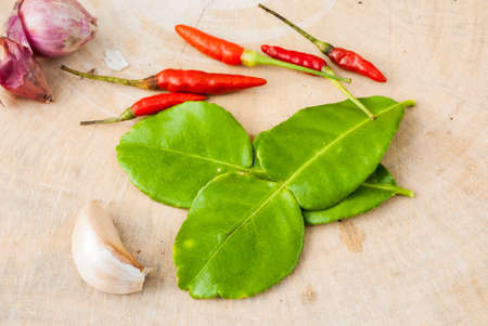 Herbs and spices set to make Tom Yum spicy soup on the chopping blockの写真素材
