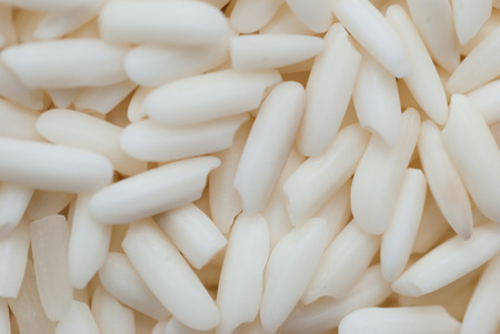 Rice texture using as backgroundの写真素材