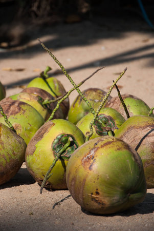 Pile of green coconuts on the Floor