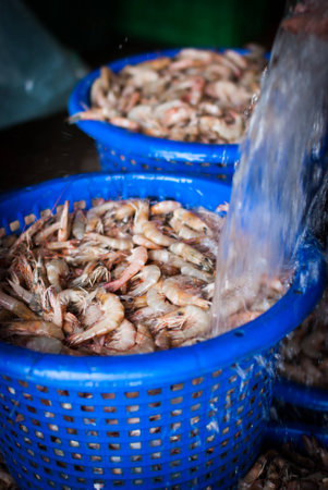 fresh shrimps for sale at the sea market Ranong , Thailandの写真素材