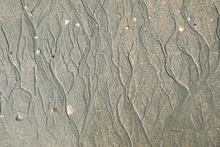 Texture of sand beach  , close up