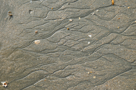 Texture of sand beach  , close up