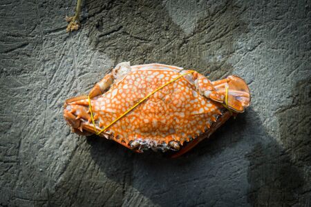 Crabs boiled and ready to eat.の写真素材