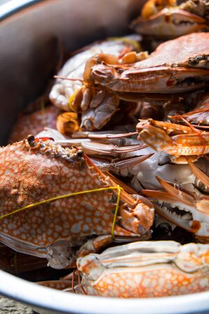 Crabs boiled and ready to eat.の写真素材
