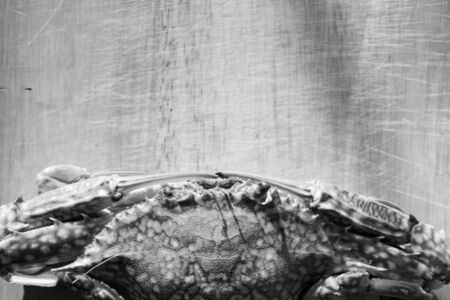 Crabs boiled and ready to eat.の写真素材