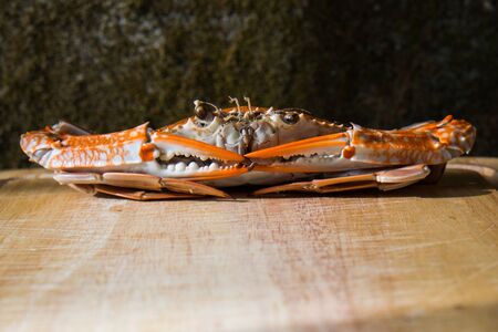 Crabs boiled and ready to eat.の写真素材