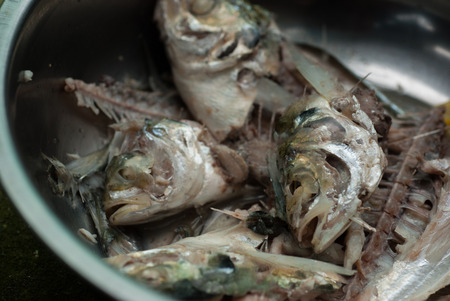 Fishbone of mackerel fish in a bowl , close upの写真素材