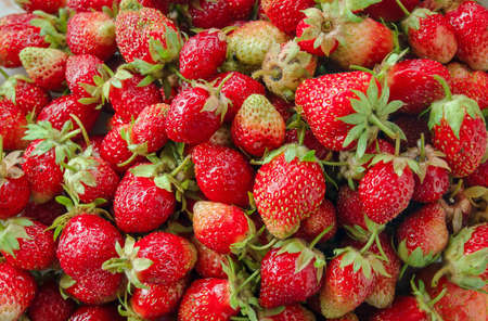 lot of ripe and delicious strawberries backgroundの写真素材