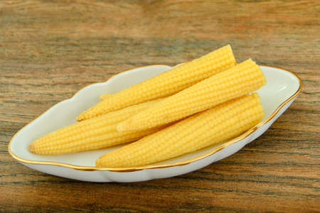 Mature Tasty Boiled Corn on Wood. Studio Photoの写真素材