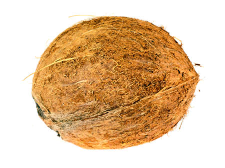 Coconut Isolated on a White Background. Studio Photoの写真素材