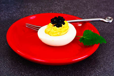 Stuffed Eggs with Pomegranate on Plate Studio Photo