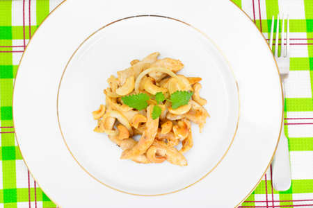 Chicken with Cashew Nuts and Soy Sauce. Asian Cuisine Studio Photoの写真素材