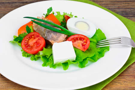 Salmon, Lettuce, Tomato and Sweet Pepper with Egg  Studio Photoの写真素材